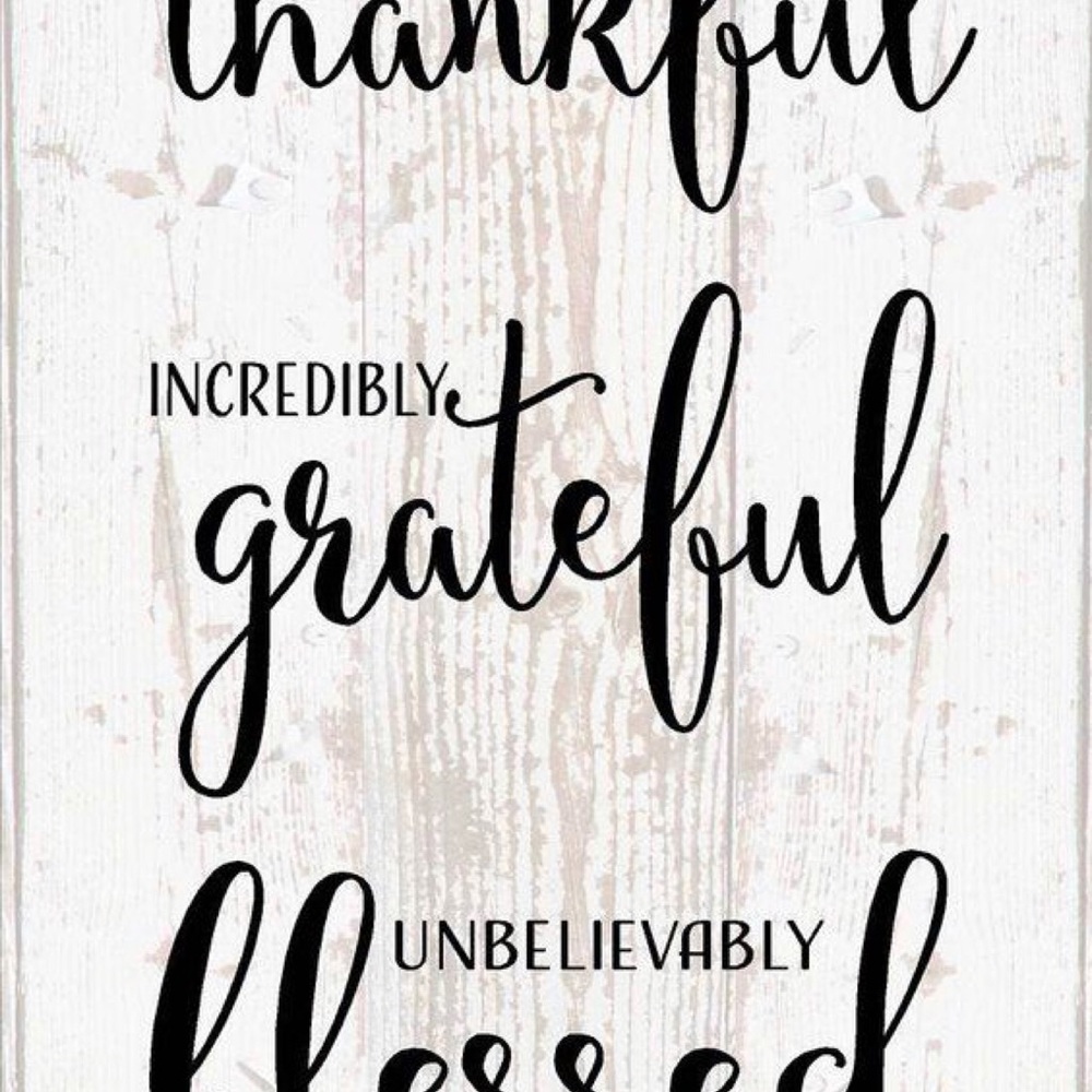 Meet your Posher, Molly